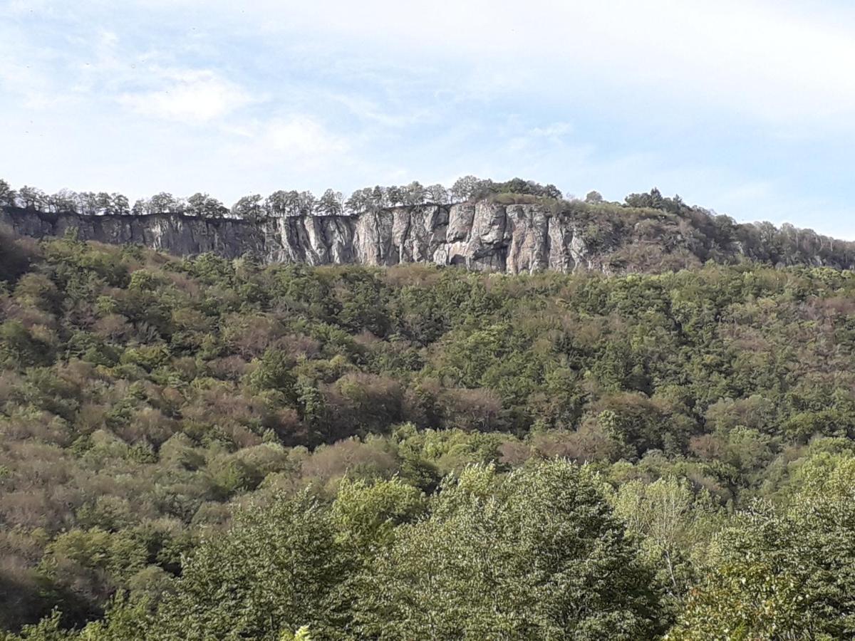 La Maison Au Coeur De L Auvergne Holiday home *